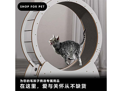 猫爬架