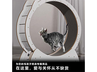 猫爬架