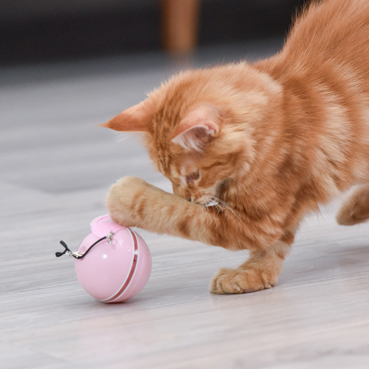 滚动激光猫球逗猫棒 USB充电自嗨电动猫玩具